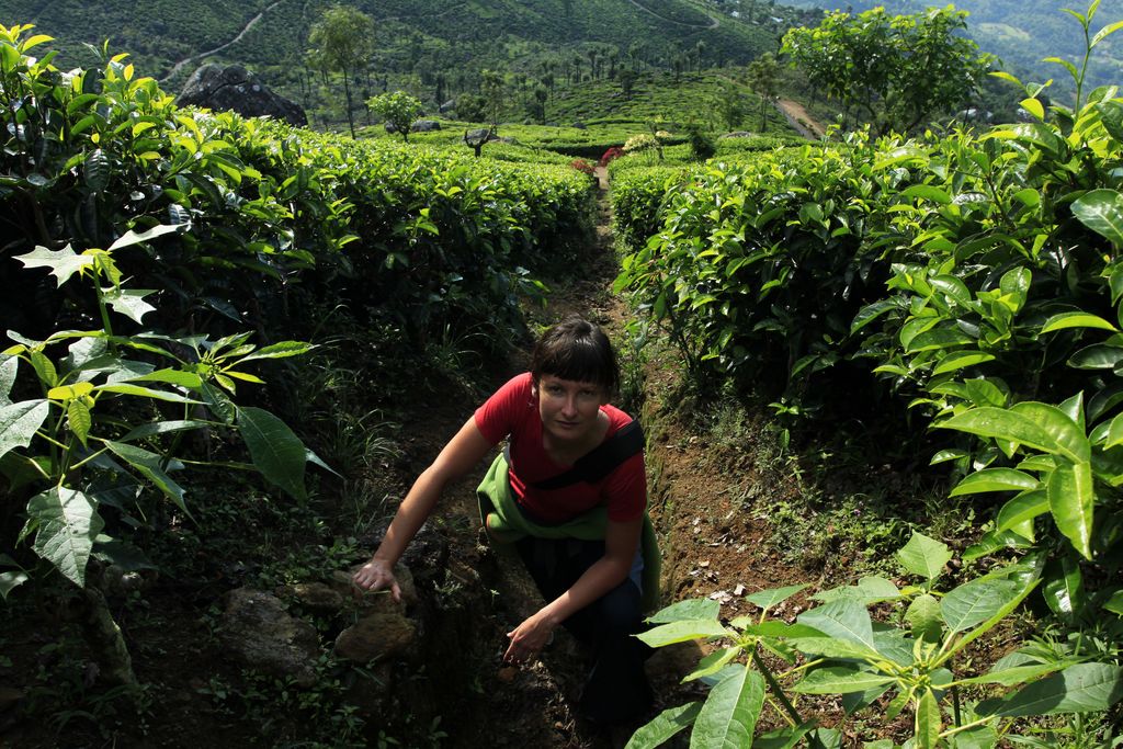 Sri Lanka - Paula on a tea plantation (Haputale)