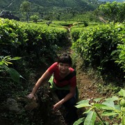 Sri Lanka - Paula on a tea plantation (Haputale)