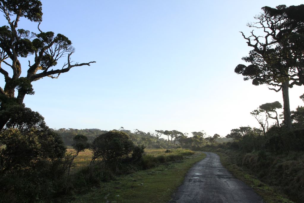 Sri Lanka - Horton Plains 003