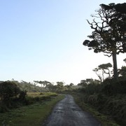 Sri Lanka - Horton Plains 003