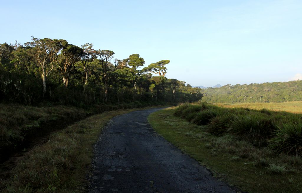 Sri Lanka - Horton Plains 004