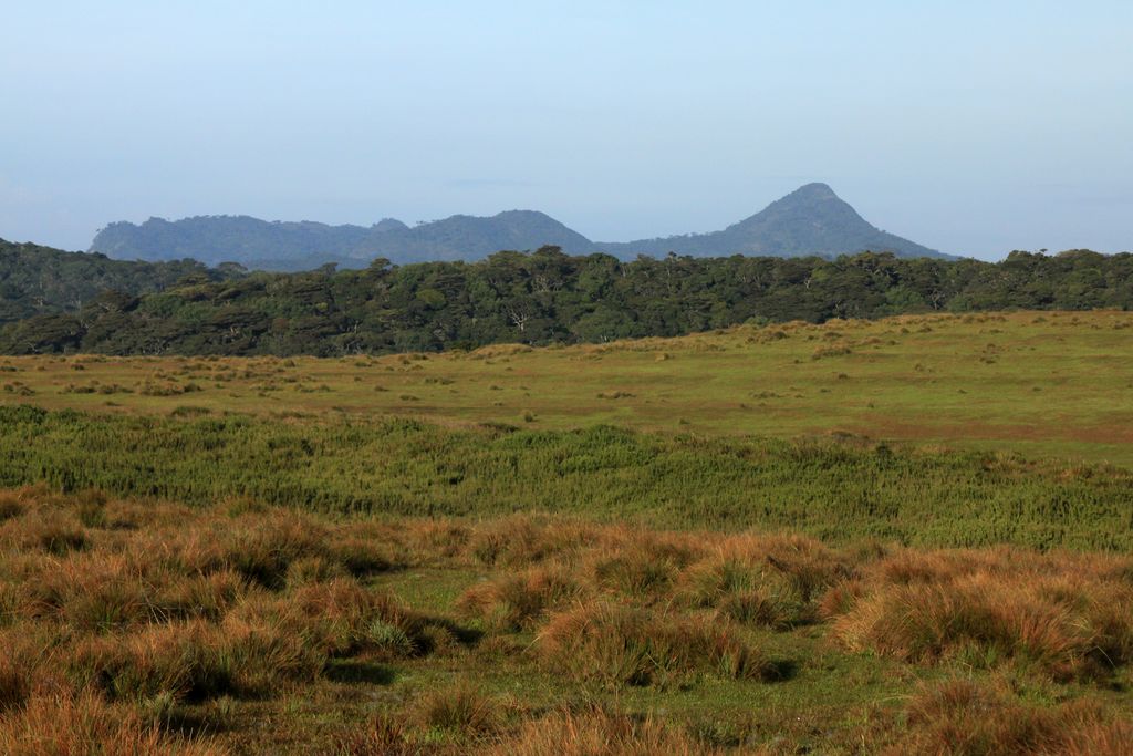 Sri Lanka - Horton Plains 005