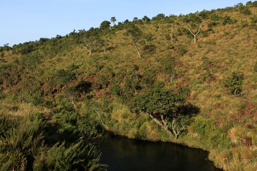 Sri Lanka - Horton Plains 008