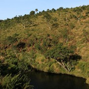 Sri Lanka - Horton Plains 008