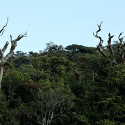 Sri Lanka - Horton Plains 017