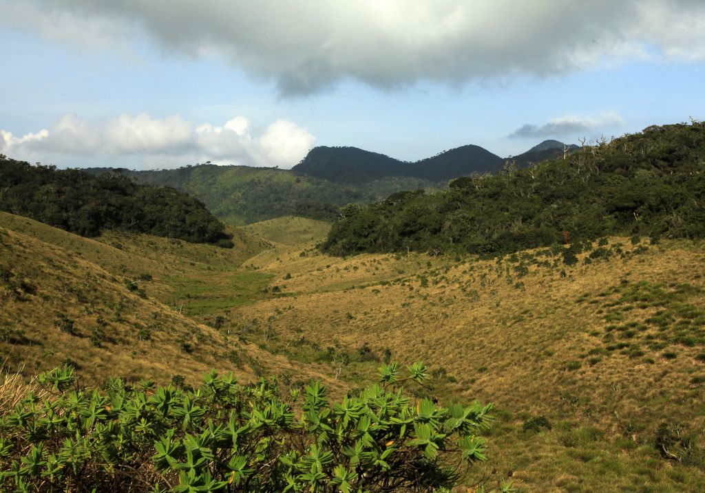 Sri Lanka - Horton Plains trekking