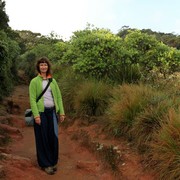 Sri Lanka - Paula hiking in Horton Plains 01