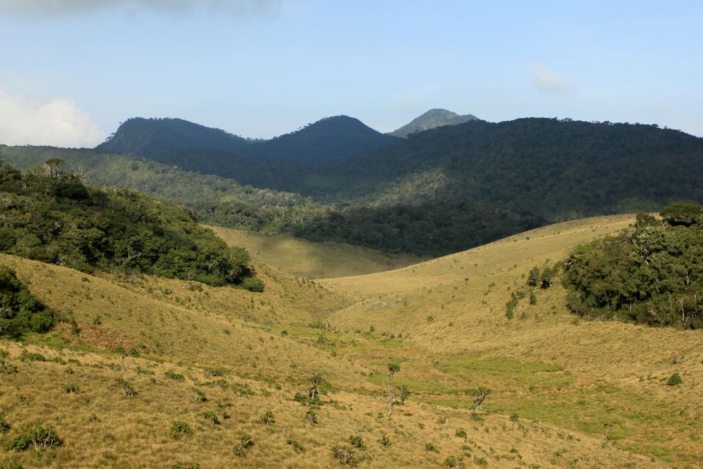 Sri Lanka - Horton Plains 027