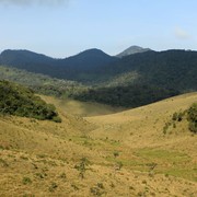Sri Lanka - Horton Plains 027
