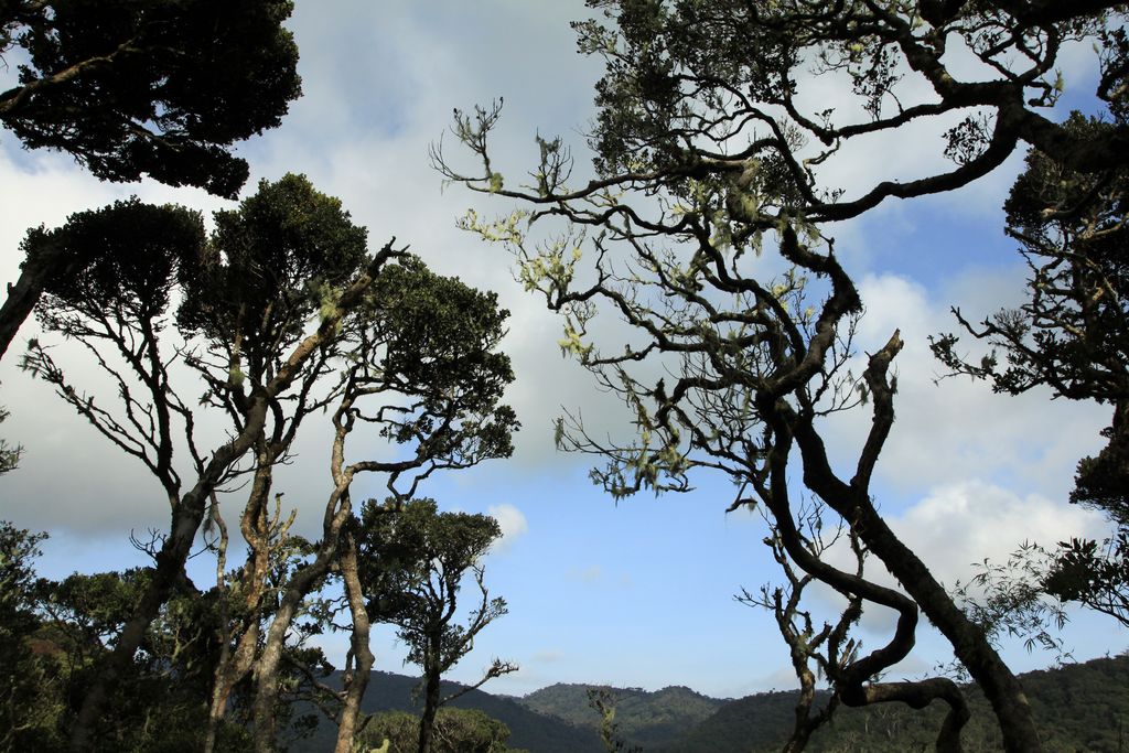 Sri Lanka - Horton Plains 028