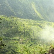 Sri Lanka - Horton Plains - Big World's End 03