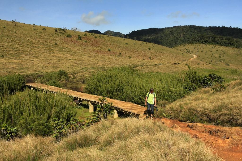 Sri Lanka - Brano hiking in Horton Plains 01