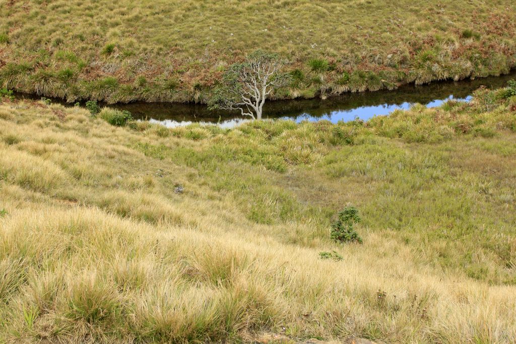 Sri Lanka - Horton Plains 043