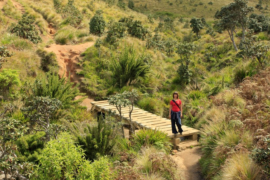 Sri Lanka - Paula hiking in Horton Plains 02