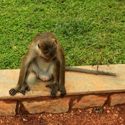 Sri Lanka - Sigiriya - What do I have there ? :)