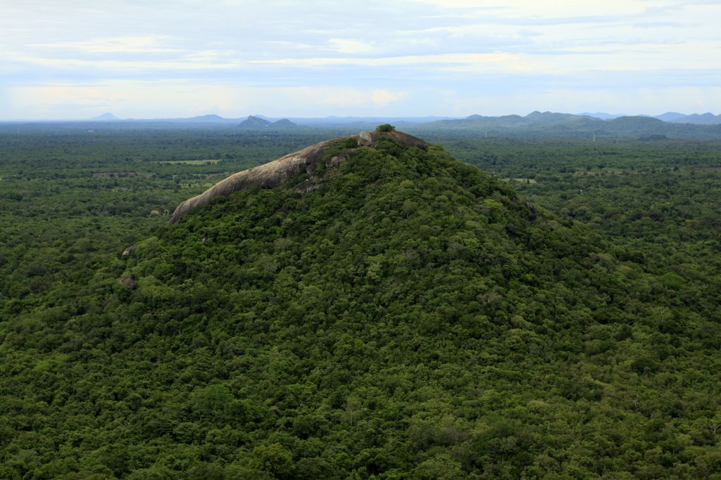 Sri Lanka - views from Sigiriya rock fortress 04
