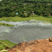 Sri Lanka - Sigiriya - a lotus lake