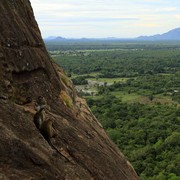 Sri Lanka - Sigiriya monkeys 01