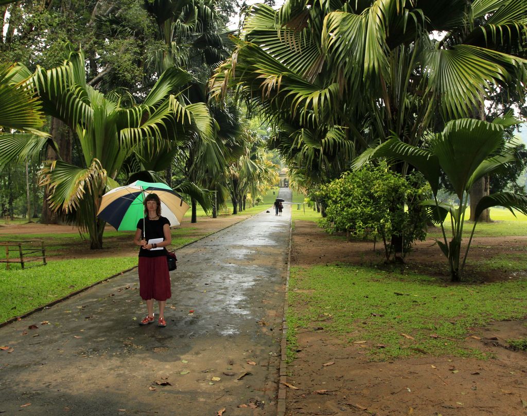 Sri Lanka - Paula in Peredeniya Botanical Garden (Kandy)