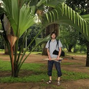 Sri Lanka - Brano in Peredeniya Botanical Garden (Kandy)