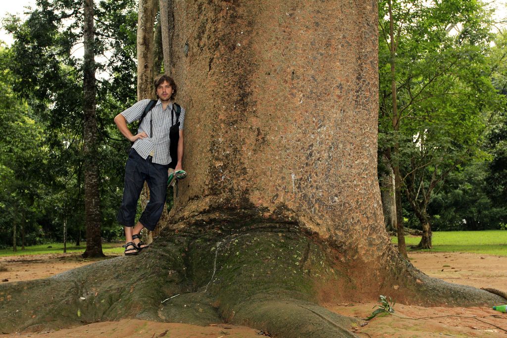 Sri Lanka - Brano in Peredeniya Botanical Garden