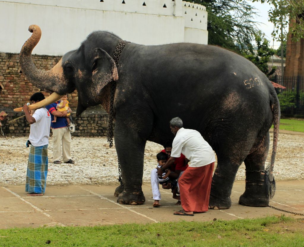 Sri Lanka - Temple of The Tooth Relic 14