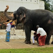 Sri Lanka - Temple of The Tooth Relic 14