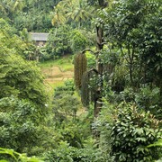 Sri Lanka - Rockhill Hermitage Centre 09