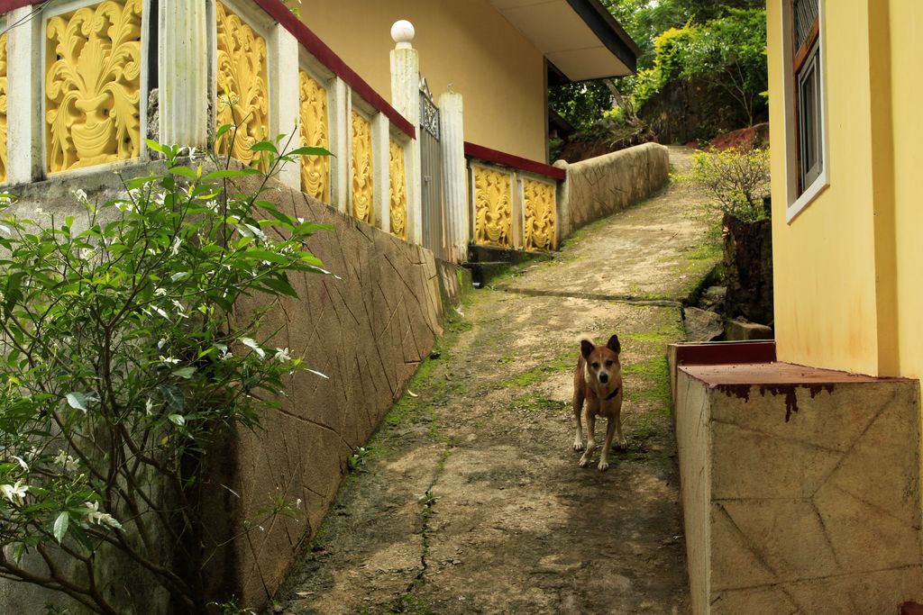 Sri Lanka - Rockhill Hermitage Centre 05