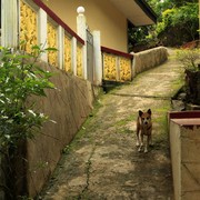 Sri Lanka - Rockhill Hermitage Centre 05