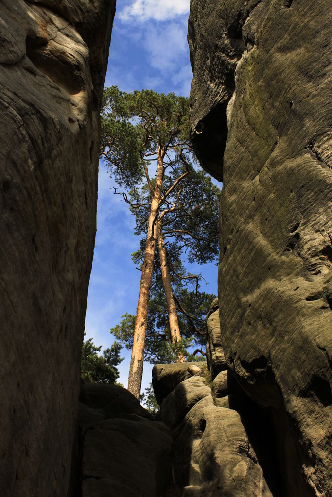 Czechia - climbing in Adrspach-Teplice rocks 69