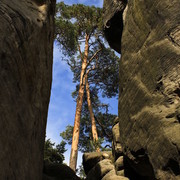 Czechia - climbing in Adrspach-Teplice rocks 69