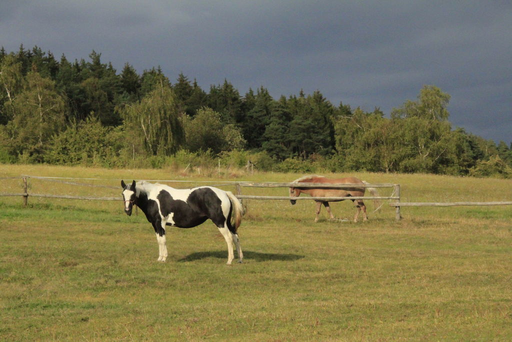 Czechia - a ranch in Kozelka 14