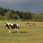 Czechia - a ranch in Kozelka 14