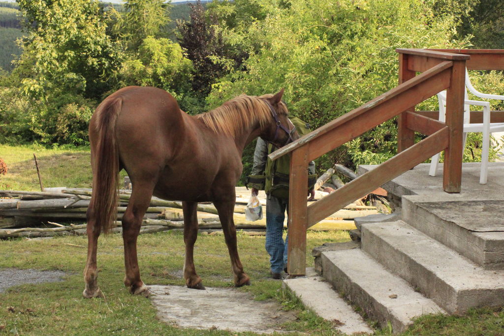 Czechia - a ranch in Kozelka 15