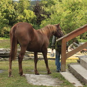 Czechia - a ranch in Kozelka 15