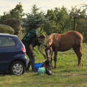 Czechia - a ranch in Kozelka 19