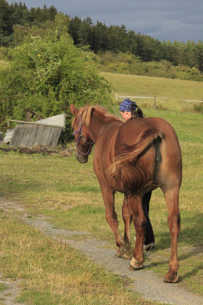 Czechia - a ranch in Kozelka 21