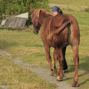 Czechia - a ranch in Kozelka 21