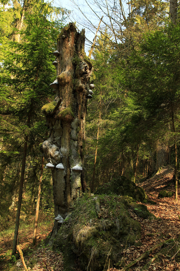 Germany - Frankenjura 047