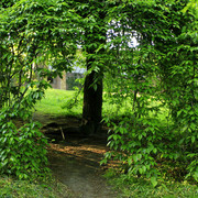 England - in a park in Harrogate