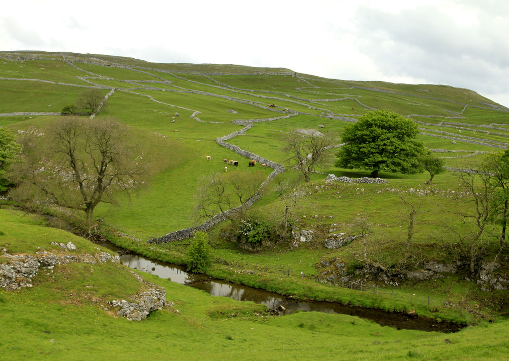 England - Yorkshire dales near Malham