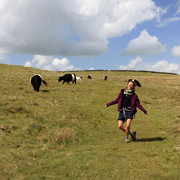 England - Yorkshire dales 034