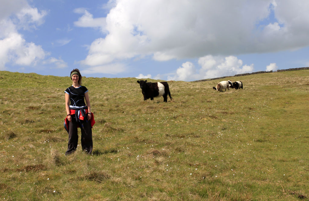 England - Yorkshire dales 036