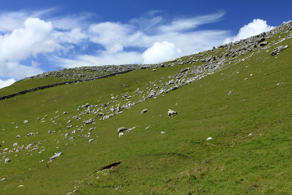 England - Yorkshire dales 037