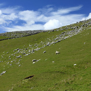 England - Yorkshire dales 037