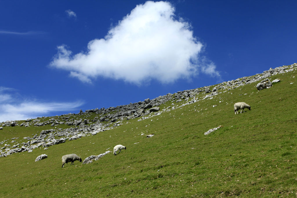 England - Yorkshire dales 038