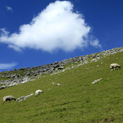 England - Yorkshire dales 038