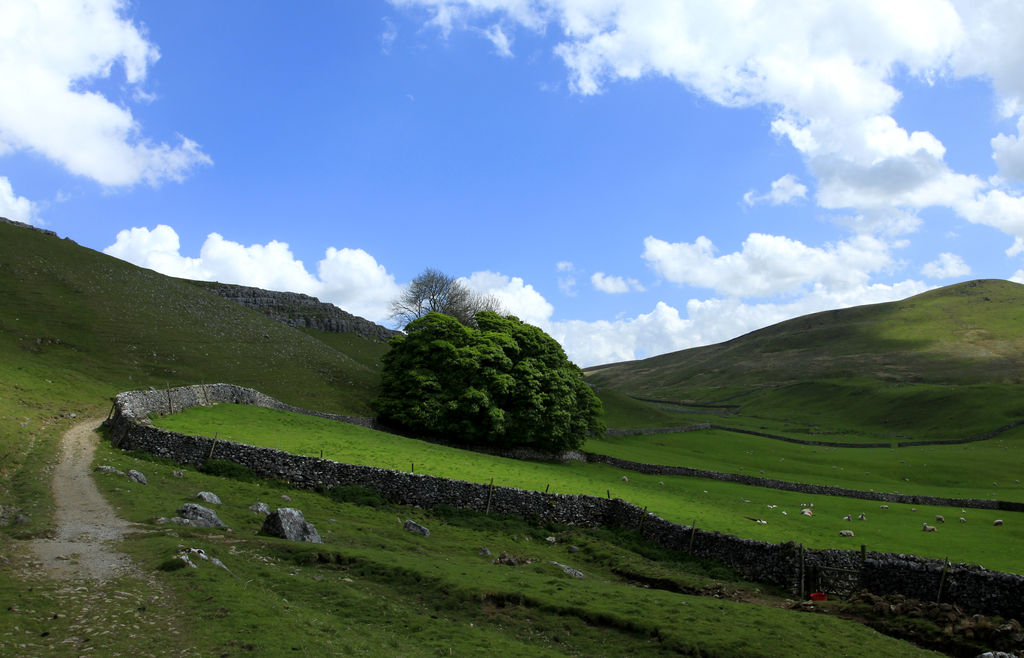 England - Yorkshire dales 039