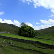 England - Yorkshire dales 039